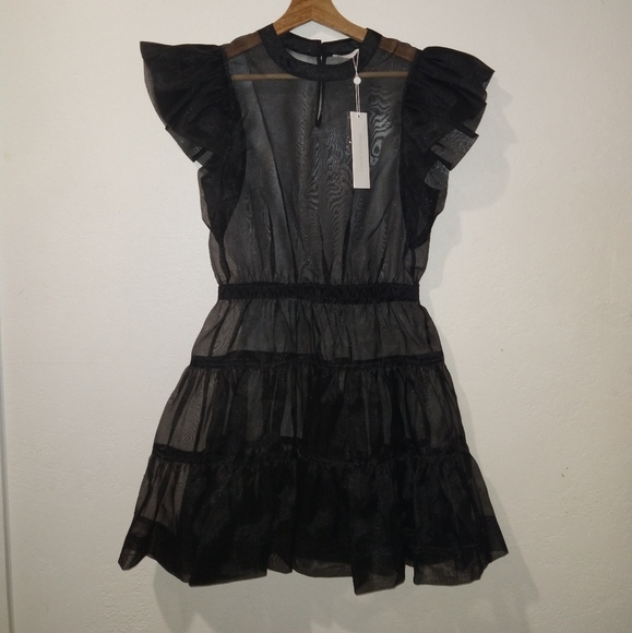 NWT JONATHAN SIMKHAI Monique Sheer Mini Dress - Picture 10 of 12